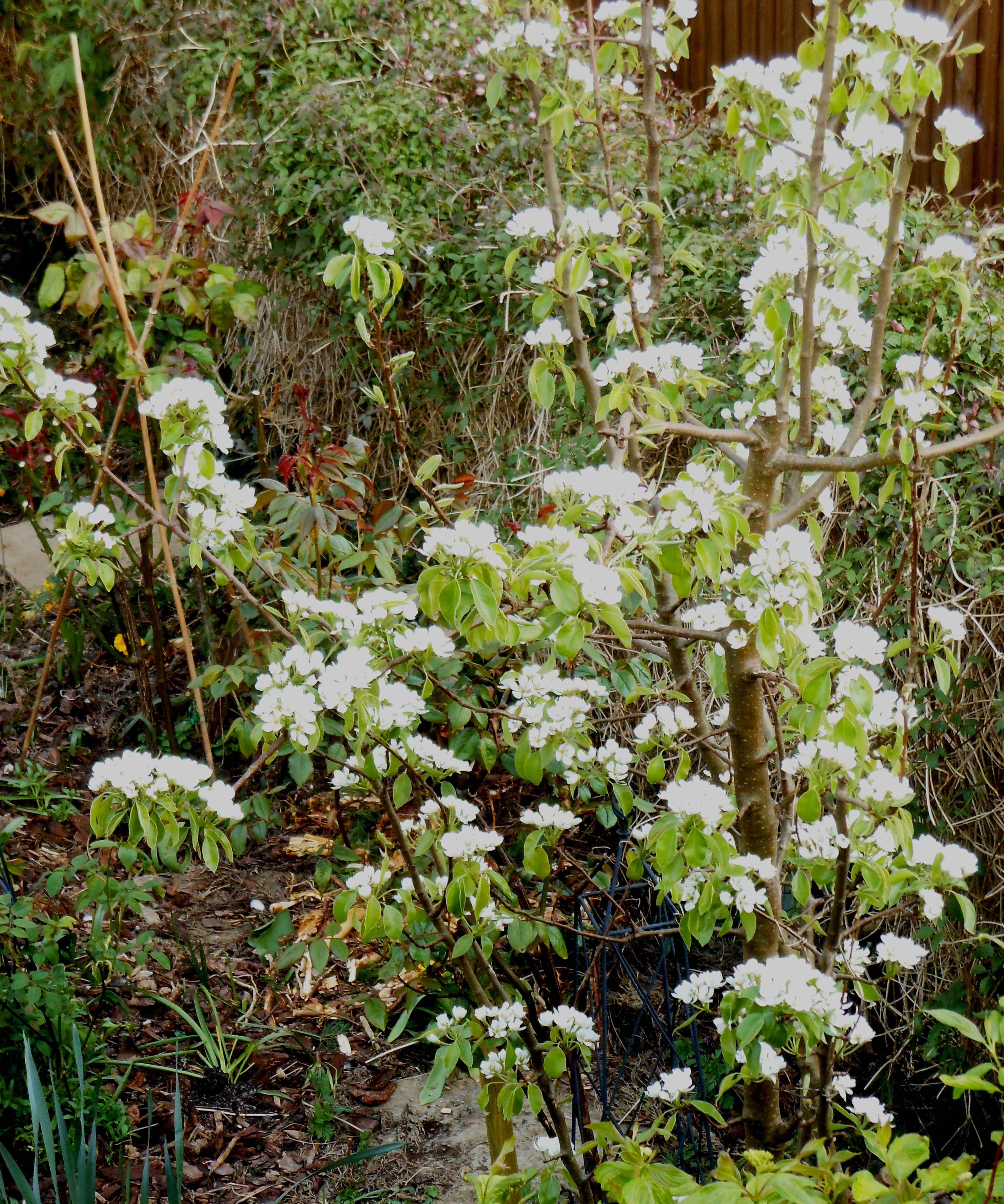 Blog/April 20 Blog pic 1